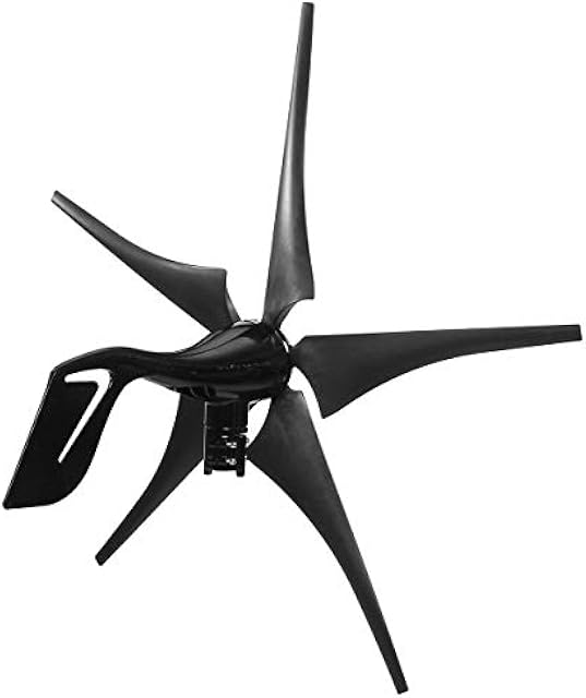 3000W 5 Blades Free Energy Windmill 12V 24V Wind Power Wind Turbine Generator with Controller for Home Outdoor Camping Use Recensie