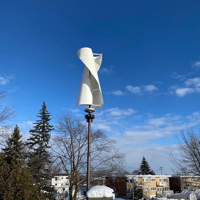 600W Vertical Wind Turbine 12V 24V 48V Wind Generator 2 Blade with MPPT Charge Controller for home use (24V with Controller) Recensie