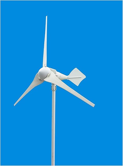 Wind Turbine Wind Turbine 1kw Wind Turbine Wind-Solar Hybrid Industrial Energy Supply Outdoor Power Generation Recensie